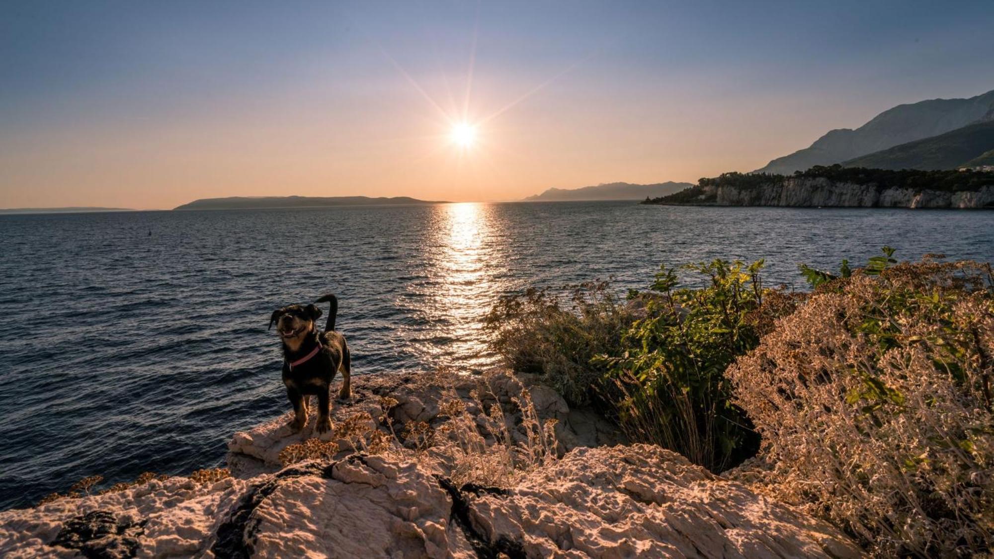 Studio Apartmani Ivanda Makarska Ngoại thất bức ảnh